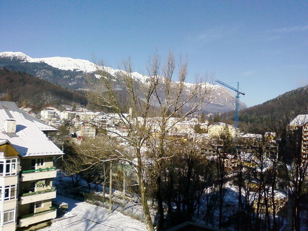 Mountain View Nest Apartment Sinaia Exterior photo