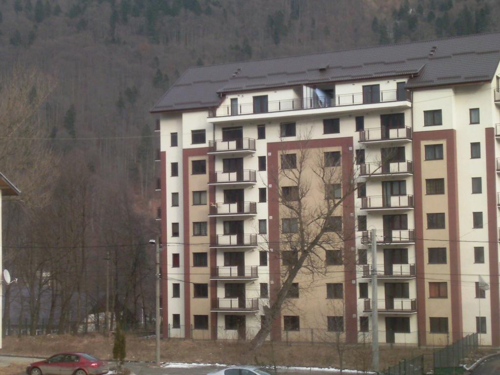 Mountain View Nest Apartment Sinaia Exterior photo